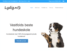Tablet Screenshot of lydig.no